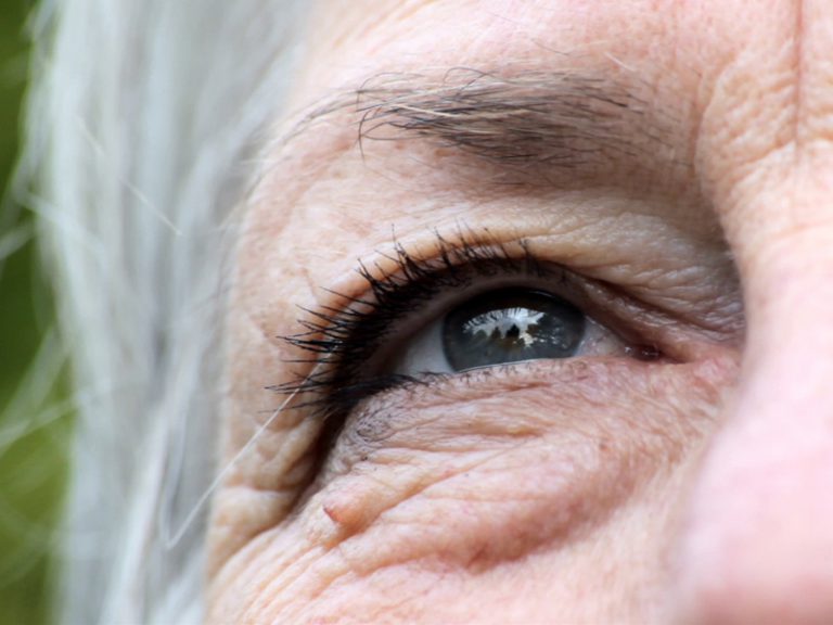 Economics of Aging